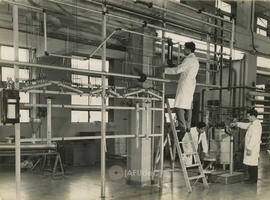 Laborantes